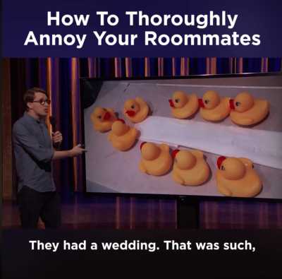 "James Veitch Is A Terrible Roommate"