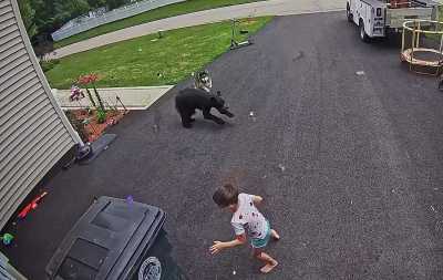 Bella runs to save boy from bear